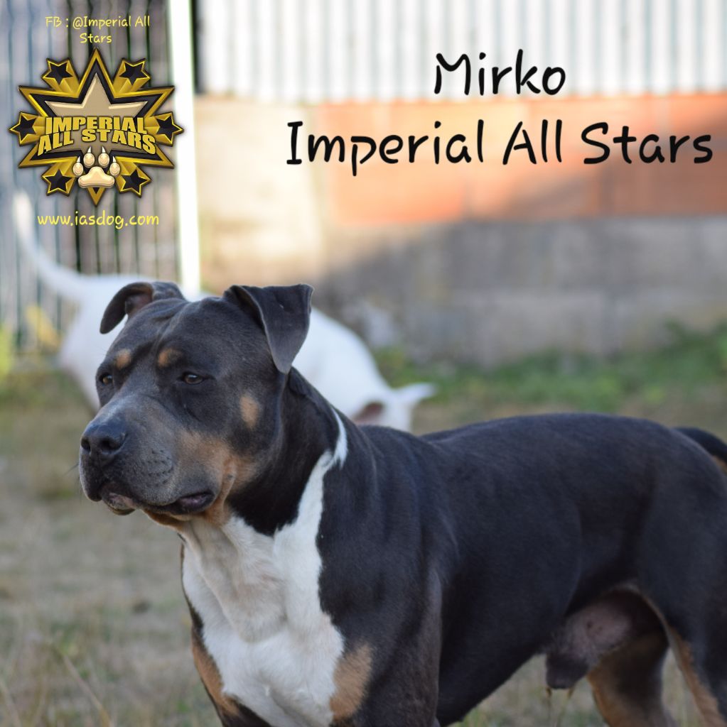 Mirko Imperial All Stars