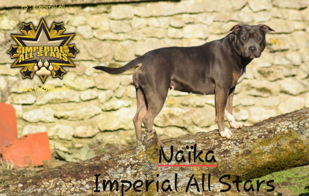 NaÏka Imperial All Stars