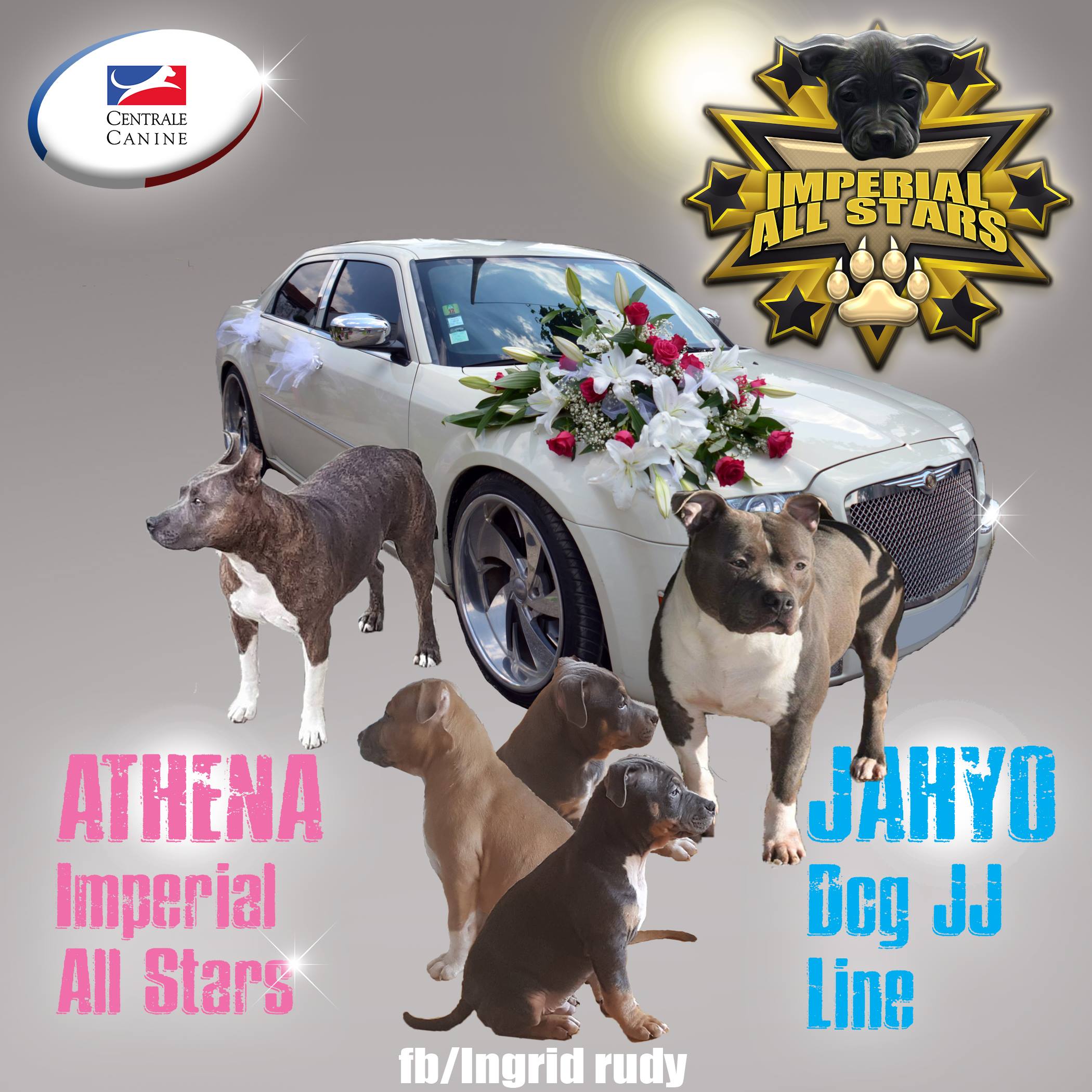 Imperial All Stars